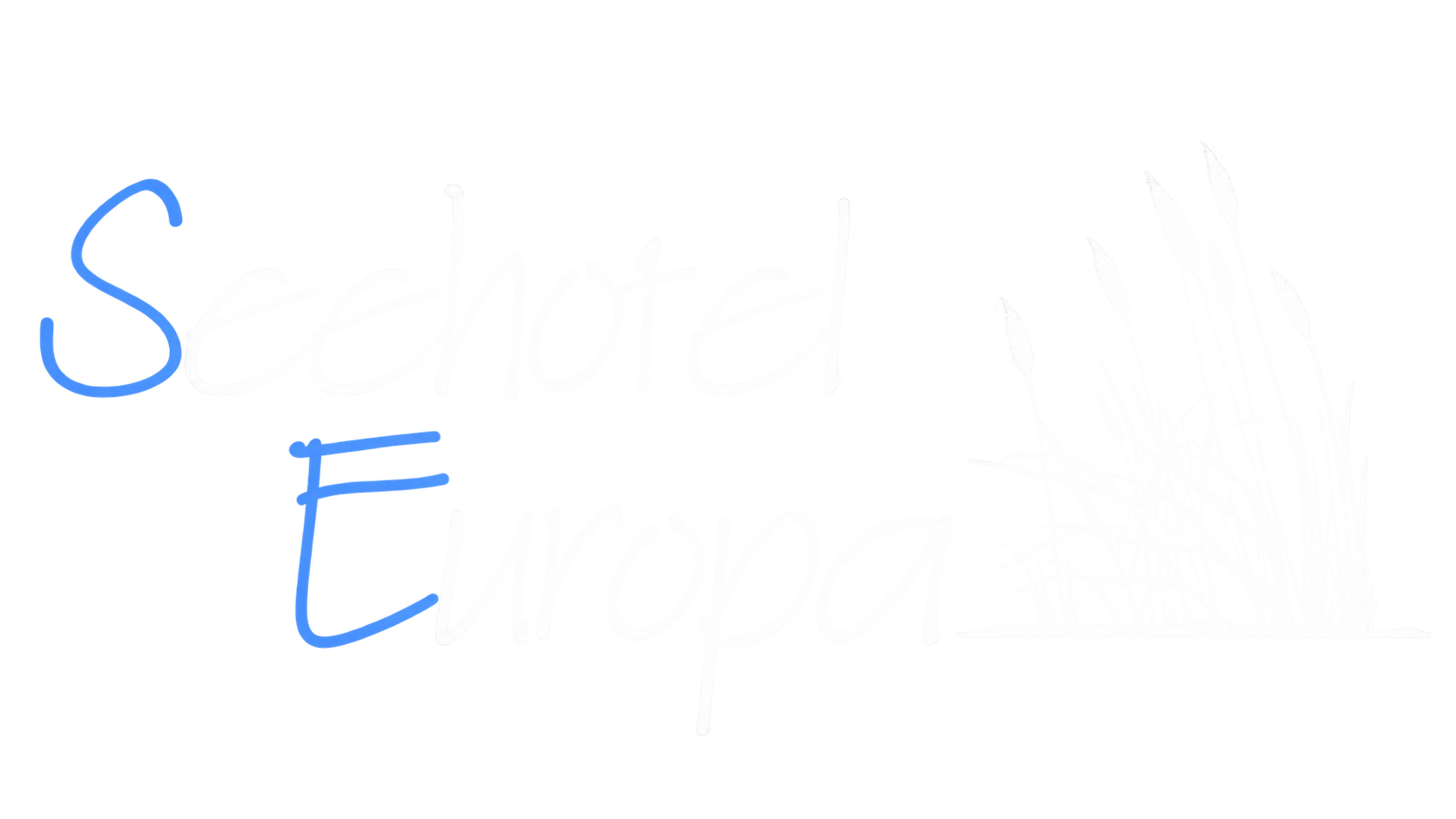 Seehotel Europa
