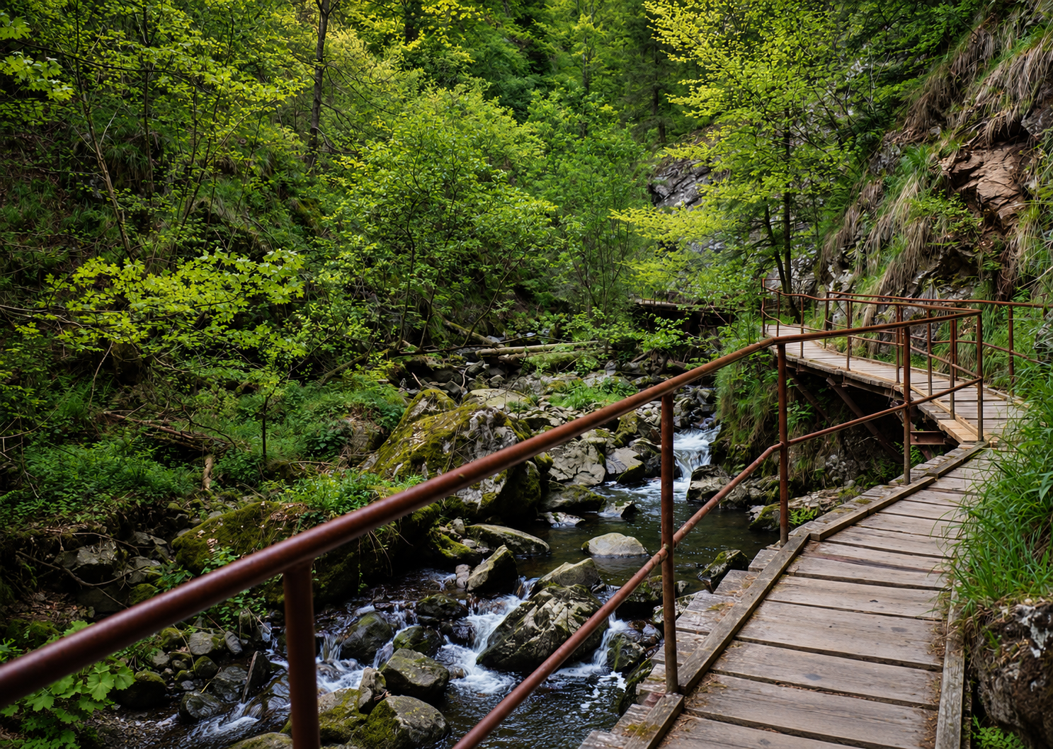 Holzsteg und Bachlauf in der Ravennaschlucht im Schwarzwald
